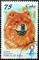 Colnect-2045-923-Chow-Chow-Canis-lupus-familiaris.jpg
