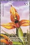 Colnect-3268-581-Maxillaria-cuculata.jpg