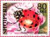 Colnect-1531-469-Ladybird-Coccinella-sp.jpg