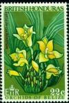 Colnect-1709-680-Lycaste-cochleata.jpg