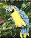 Colnect-3523-343-Blue-and-yellow-Macaw-Ara-ararauna.jpg