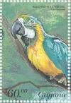 Colnect-3742-919-Blue-and-yellow-Macaw-Ara-ararauna.jpg