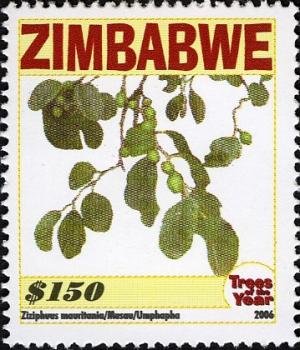 Colnect-555-287-Trees-of-the-Year---Ziziphuus-mauritania.jpg