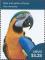 Colnect-4412-921-Blue-and-yellow-Macaw-Ara-ararauna.jpg