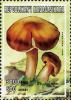Colnect-3143-208-Hygrocybe-punicea.jpg