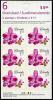 Colnect-3033-148-Cattleya-Memoria-Evelyn-Light-synLaeliocattleya-Memoria-Ev.jpg