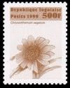 Colnect-3521-382-Chrysanthemum-segetum.jpg