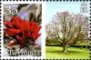 Colnect-2789-085-Erythrina-variegata.jpg