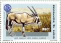 Colnect-4043-675-Oryx-gazella-gazella.jpg