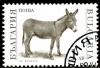 Colnect-1429-503-Donkey-Equus-asinus-asinus.jpg