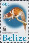 Colnect-2185-936-Derby--s-Wooly-Opossum-Caluromys-derbianus.jpg