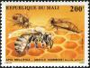 Colnect-2273-540-Honey-Bee-Apis-mellifica.jpg