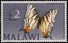Colnect-5524-370-African-Map-Butterfly-Cyrestis-camillus-ssp-sublineatus.jpg