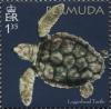 Colnect-5748-144-50th-Anniversary-of-the-Bermuda-Turtle-Project.jpg