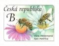 Colnect-6611-980-Honey-Bee-Apis-mellifica.jpg