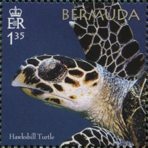Colnect-5748-147-50th-Anniversary-of-the-Bermuda-Turtle-Project.jpg