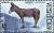 Colnect-1523-121-Donkey-Equus-asinus-asinus.jpg