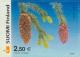Colnect-160-644-Norway-Spruce-Picea-abies.jpg
