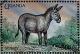 Colnect-1714-647-Donkey-Equus-asinus-asinus.jpg