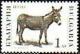 Colnect-1814-144-Donkey-Equus-asinus-asinus.jpg