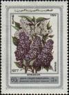 Colnect-2172-050-Lilacs.jpg