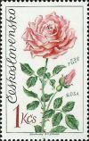 Colnect-414-055-Rose.jpg