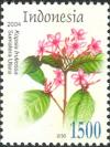 ID002.04.jpg