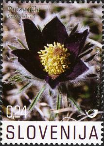 SI008.08.jpg