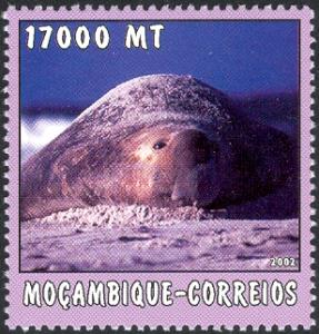 MZ557.02.jpg