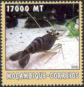 MZ532.02.jpg