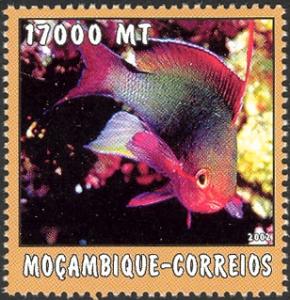 MZ535.02.jpg