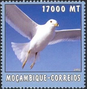 MZ479.02.jpg