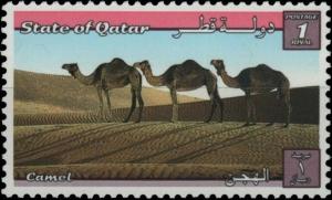 Colnect-5532-092-Camels.jpg