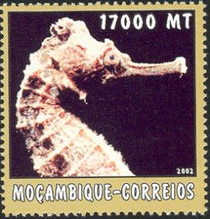 MZ496.02.jpg
