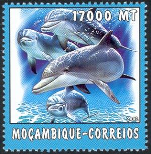 MZ520.02.jpg