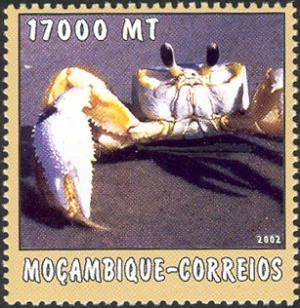 MZ531.02.jpg