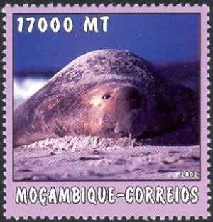 MZ557.02.jpg