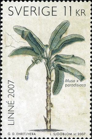 SE029.07.jpg