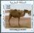 Colnect-5169-005-Camel.jpg