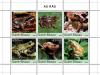 Colnect-5023-156-Frogs.jpg