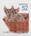 JP115.16.jpg