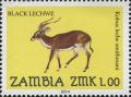 ZM018.14.jpg