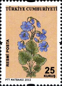 TR026.12.jpg
