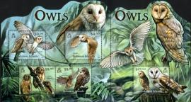 Owls---MiNo-1496-1500.jpg