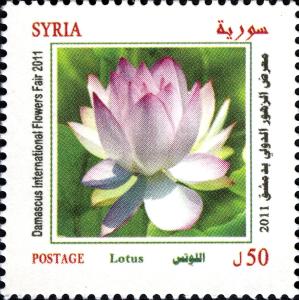 SY008.11.jpg