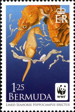 BM013.10.jpg