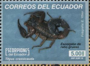 EC065.14.jpg