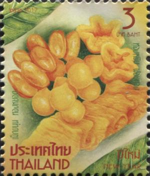TH057.17.jpg