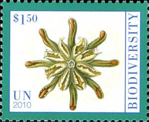 UN131.10.jpg