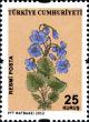 TR026.12.jpg